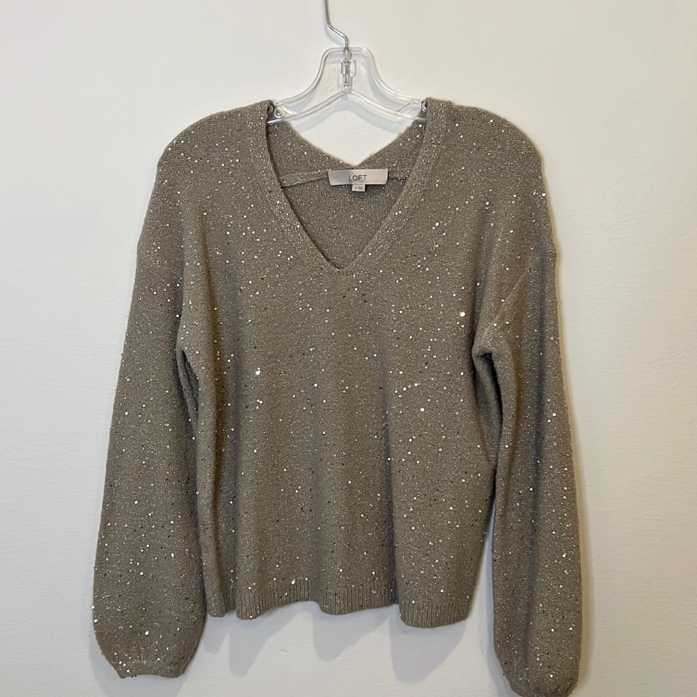 LOFT Dolman Sleeve sweater